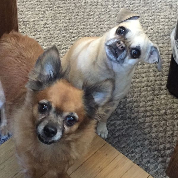 Mia and Migo together
